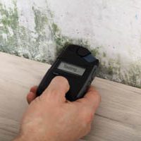 certified mold inspector