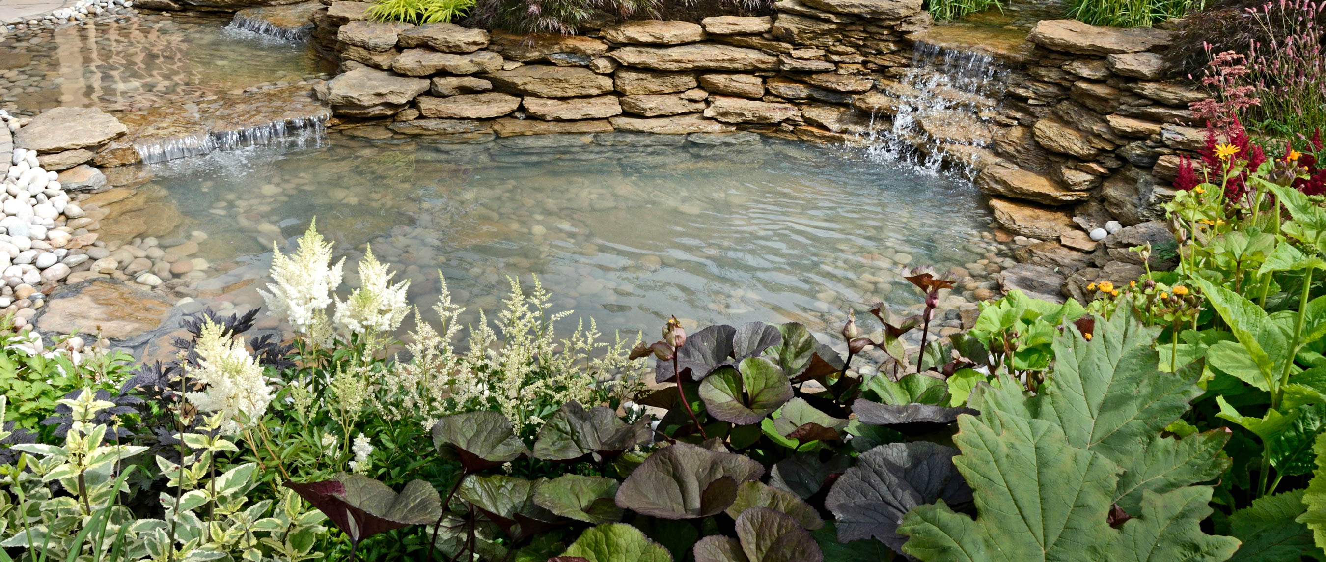 Landscape Maintenance & Pond Installation